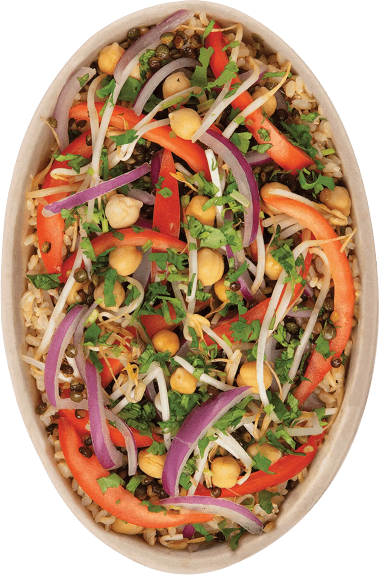 Budda bowl with chickpeas, red peppers, sprouts, cilantro, and brown rice.