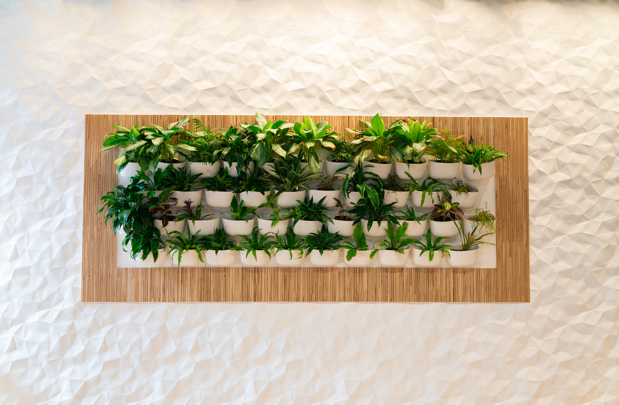 Vertical wall garden with rows of white pots filled with lush green plants.